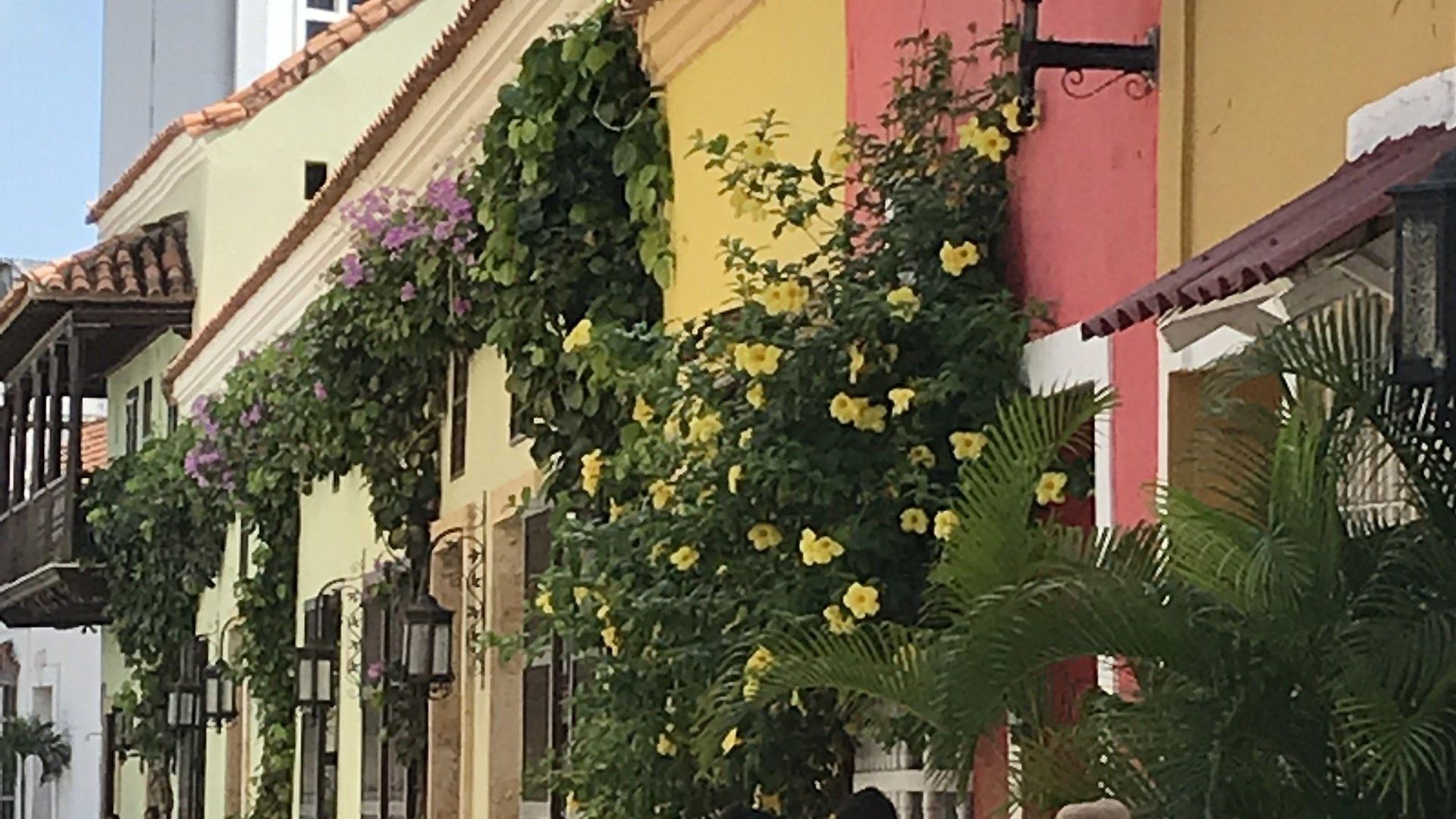 Casa 1811 Hostal